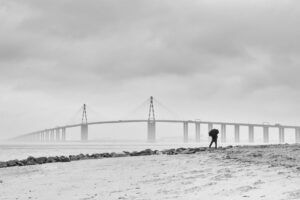 Lire la suite à propos de l’article A l’embouchure de la Loire