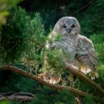 Lire la suite à propos de l’article CONCOURS REGIONAL papier NATURE