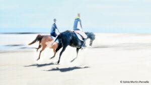 Lire la suite à propos de l’article I.C.M.  Intentional Camera Movement