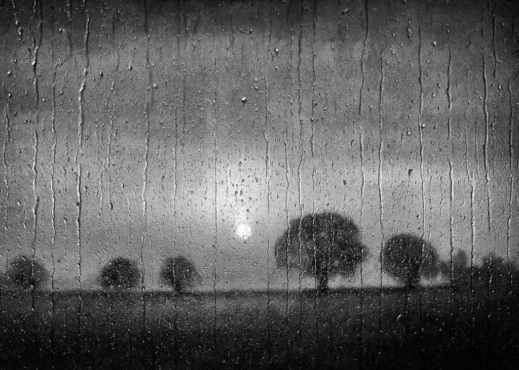 FRAPPAT Jean-François - Sous la pluie